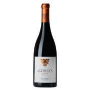 Andreza - Reserva Tinta - 0.75L - 2020