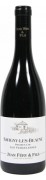 Domaine Jean Féry & Fils - Savigny-lès-Beaune Premier Cru Les Vergelesses BIO - 0.75L - 2021