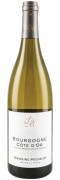 Domaine Michelot - Bourgogne Malpoiriers Blanc - 0.75L - 2022