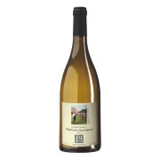 Prackfol - Sauvignon Blanc - 0.75L - 2021