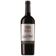 Teófilo Reyes - Sierra Ibérica - 0.75L - 2022