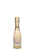 Vinada - Amazing Airén Gold  - 0.2L - Alcoholvrij